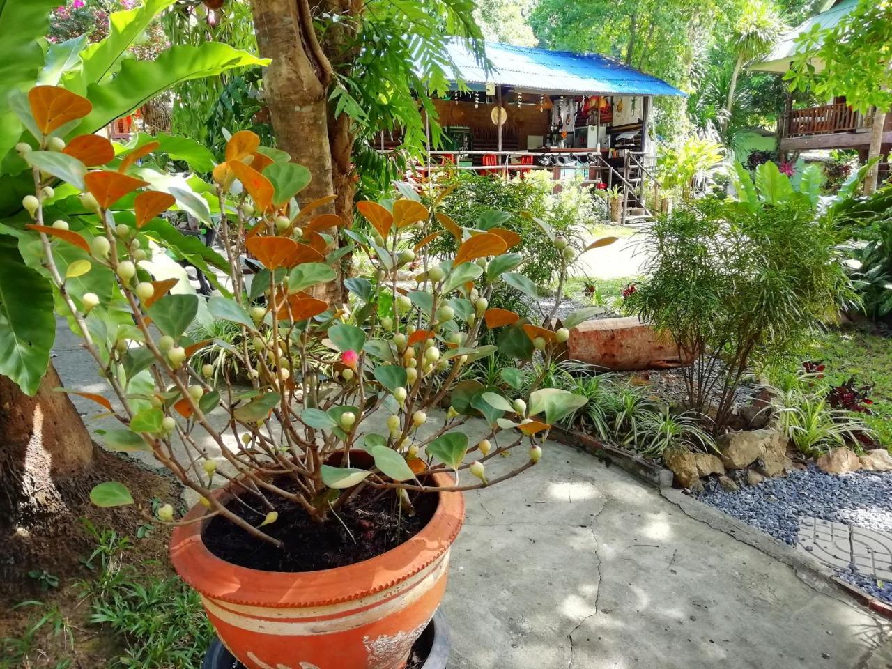 Macura Resort Koh Chang Ngoại thất bức ảnh