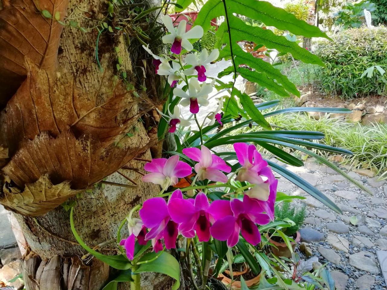 Macura Resort Koh Chang Ngoại thất bức ảnh